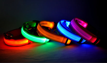 Nylon LED Pet Dog Luminous Collar Night Safety Flashing Glow in Dark Dog Cat Leash Adjustable Pet Supplies